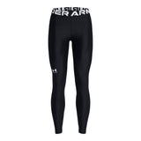 Under Armour HG legginsit