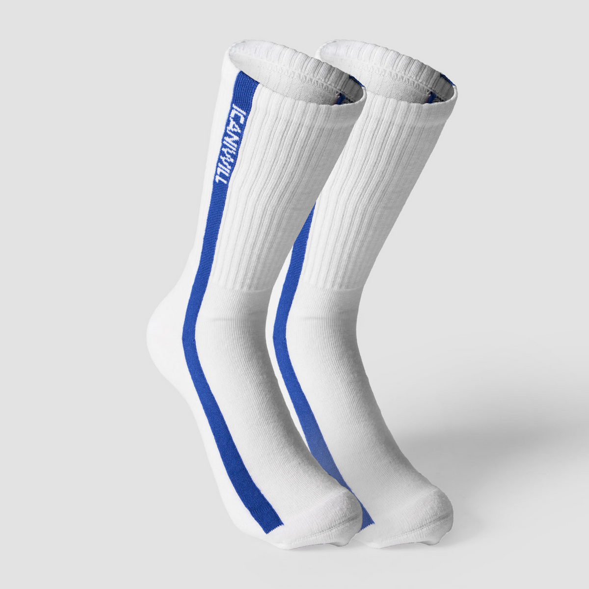 ICANIWILL Vertical Striped Socks (2-pack) Virtual Blue